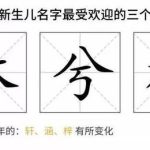 网红感叹字,网红感叹字背后的时代心声